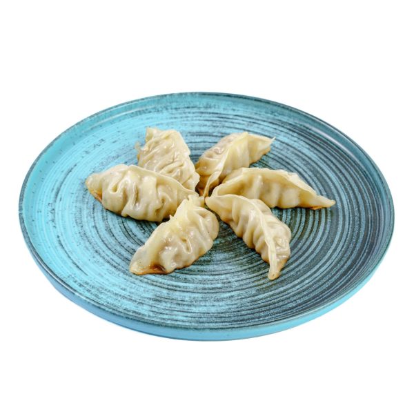 GYOZAS TERNERA Y VERDURAS