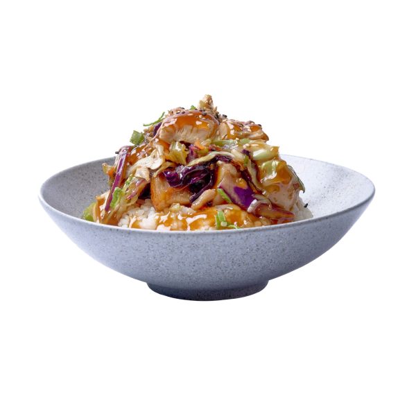 TERIYAKI DON DE POLLO